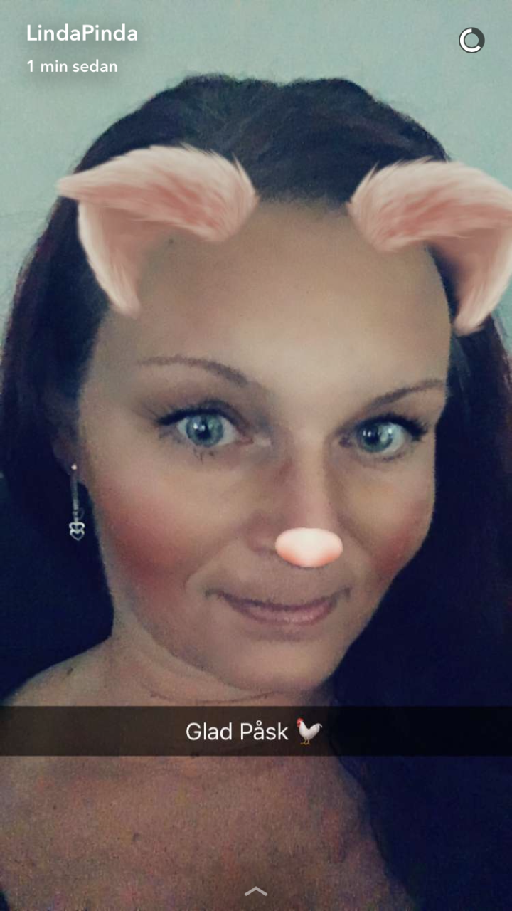 Påsk haren utan ägg